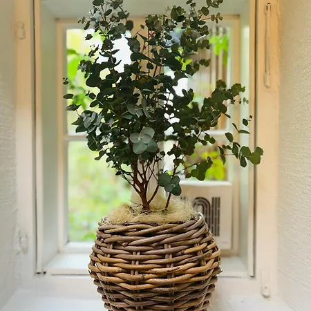 Apt. Stone-lodge Apartment Salzburg